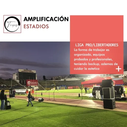 Amplificación